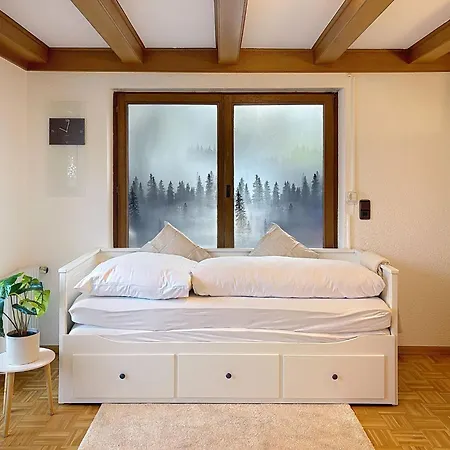 Sommer Apartements Schwarzwald By Interhome Appartamento Simonswald